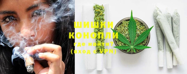 ПСИЛОЦИБИНОВЫЕ ГРИБЫ Няндома