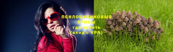 первитин Нязепетровск