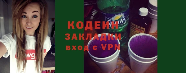ПСИЛОЦИБИНОВЫЕ ГРИБЫ Няндома