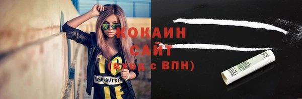 ПСИЛОЦИБИНОВЫЕ ГРИБЫ Няндома