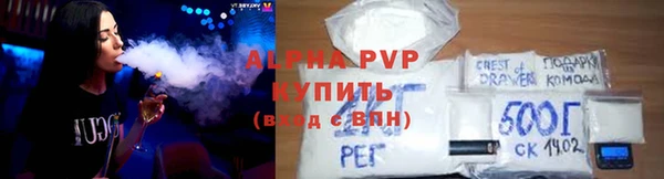 ПСИЛОЦИБИНОВЫЕ ГРИБЫ Няндома