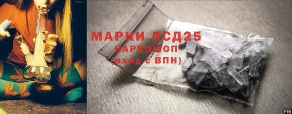ПСИЛОЦИБИНОВЫЕ ГРИБЫ Няндома