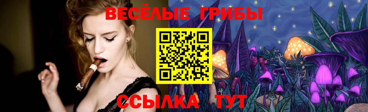 Галлюциногенные грибы Psilocybine cubensis  Вход с VPN  Галлюциногенные грибы прущие грибы  Краснознаменск 